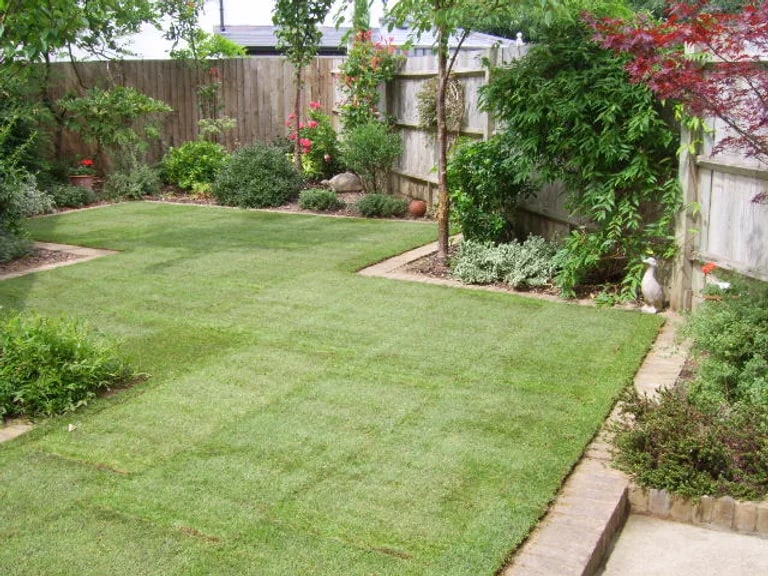 Lawn Care 4