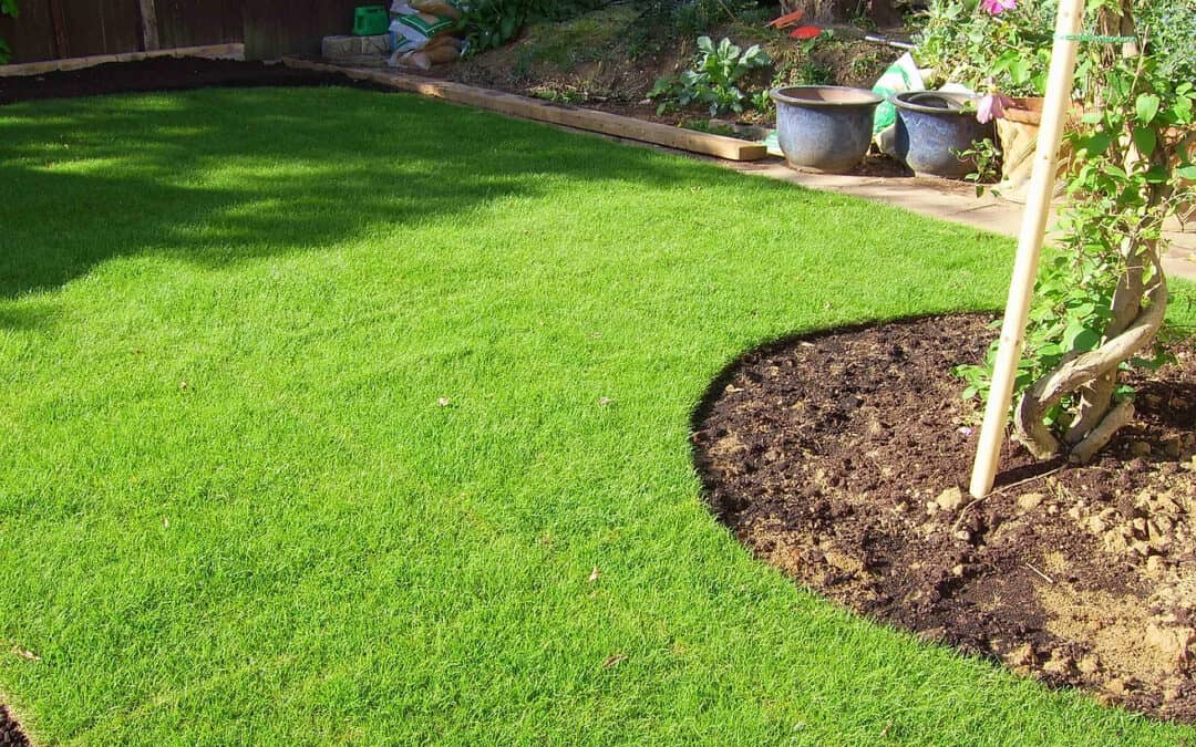 Lawn Care 5