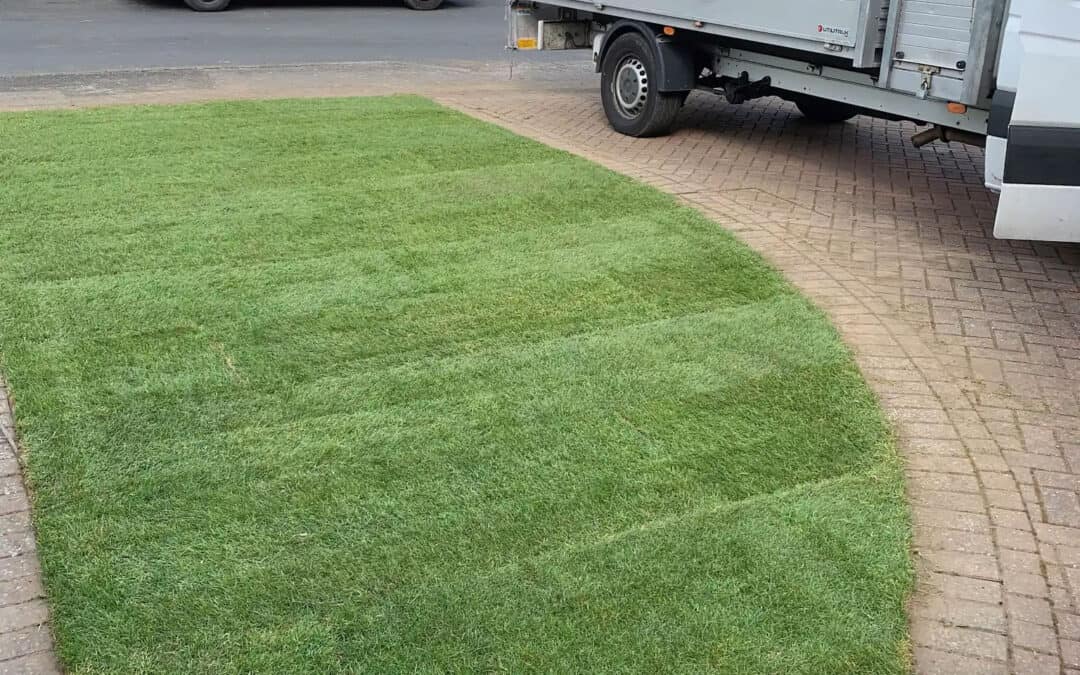 Lawn Care 8